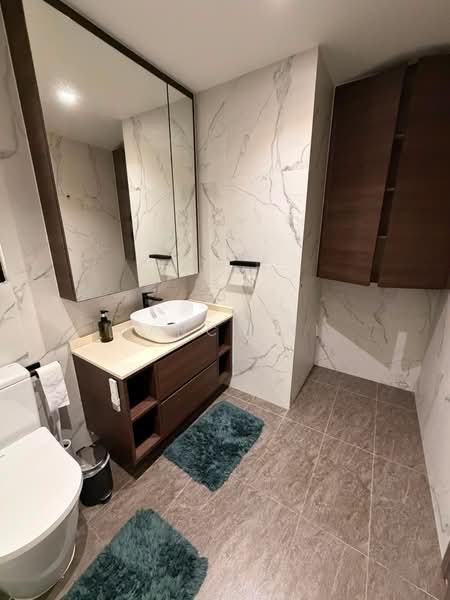 Dover Parkview, 30 Dover Rise, 2 Bedrooms, 969 sqft, Condominium For Rent, by Nancy Ni, 500229509 - Bathroom - PropertyGuru.com.sg