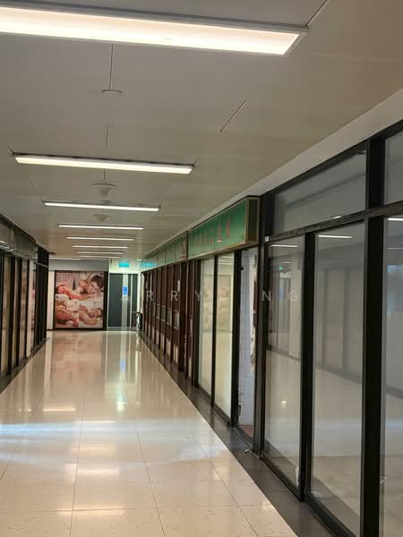 Cuppage Plaza, 5 Koek Road, 200 sqft, Mall Shop For Rent, by Darryl Ng, 500229653 - Corridor - CommercialGuru.com.sg