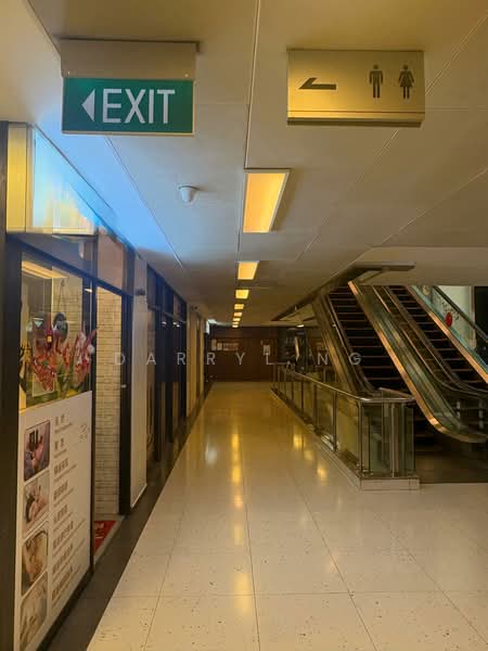 Cuppage Plaza, 5 Koek Road, 200 sqft, Mall Shop For Rent, by Darryl Ng, 500229653 - Corridor - CommercialGuru.com.sg