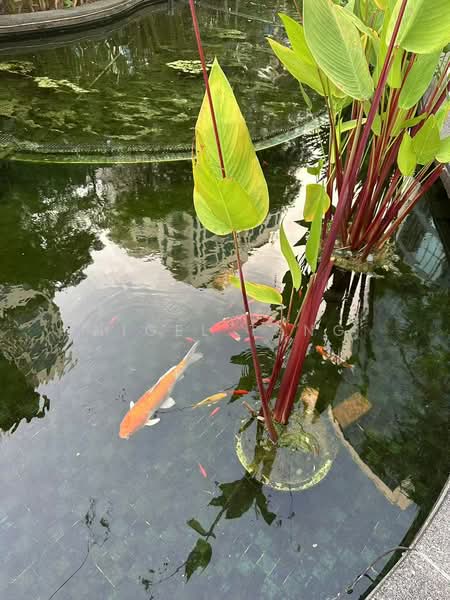 Water Place, 177 Tanjong Rhu Road, Room Rental, 100 sqft, Condominium For Rent, by Nigel Tang, 500229660 - Garden - PropertyGuru.com.sg