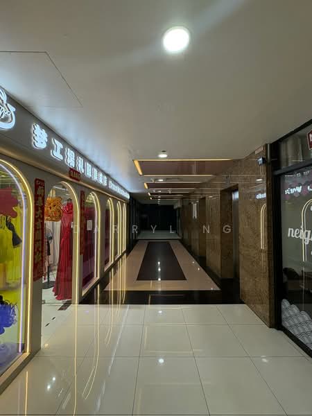 Orchard Plaza, 150 Orchard Road, Orchard / River Valley, 250 sqft, Other Retail For Rent, by Darryl Ng, 500229666 - Corridor - CommercialGuru.com.sg