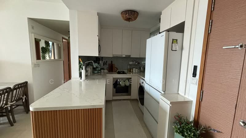 Belysa, 55 Pasir Ris Drive 1, Room Rental, 150 sqft, Executive Condominium For Rent, by Charlene Song, 500229959 - Kitchen - PropertyGuru.com.sg