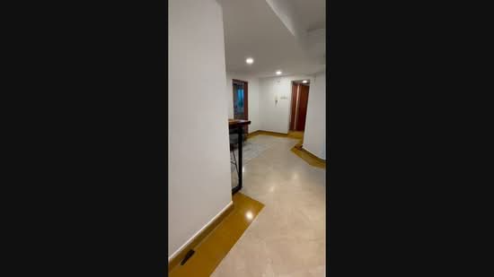 Emerald Garden, 33 Club Street, 1 Bedroom, 250 sqft, Condominium For Rent, by Ssharon Loh, 500230021 - PropertyGuru.com.sg