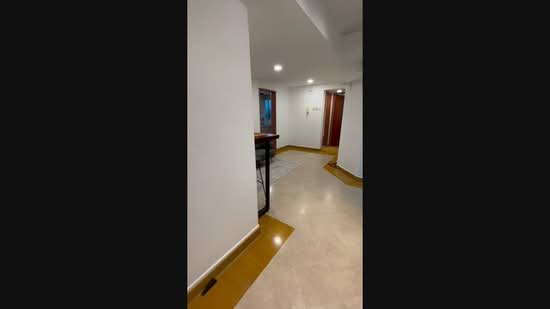 Emerald Garden, 33 Club Street, 1 Bedroom, 250 sqft, Condominium For Rent, by Ssharon Loh, 500230021 - PropertyGuru.com.sg