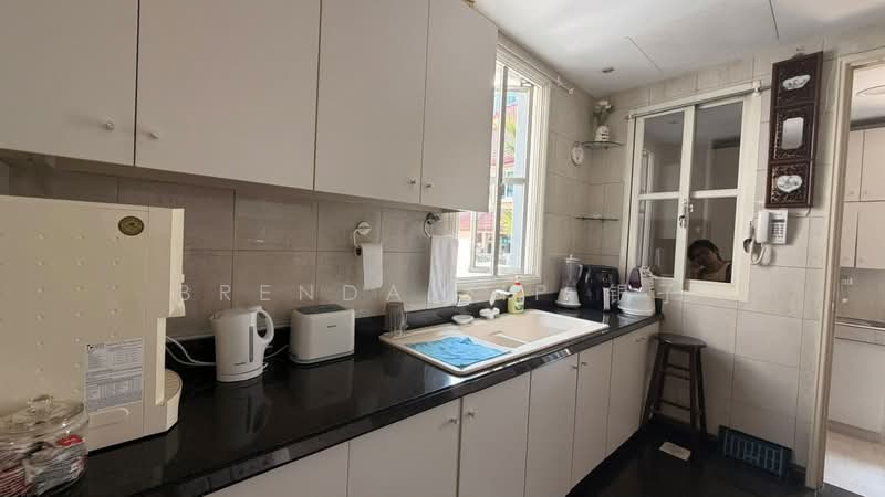 Holland Grove, Holland Grove View, 4 Bedrooms, 3,735 sqft, Semi-Detached House For Sale, by Brenda Yip 银子, 500230041 - Kitchen - PropertyGuru.com.sg