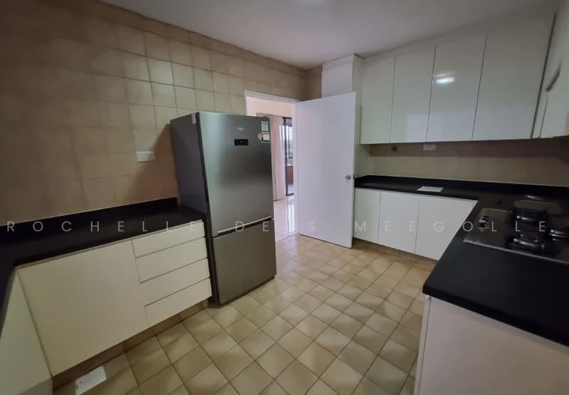 The Cairnhill, 4 Cairnhill Rise, 4 Bedrooms, 2,788 sqft, Condominium For Rent, by Rochelle De S Meegolle, 500230104 - Kitchen - PropertyGuru.com.sg