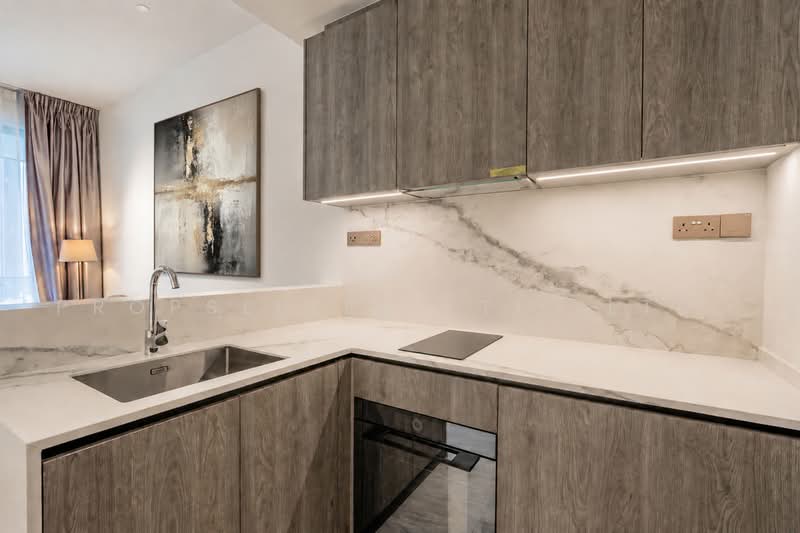 Leedon Green, 34 Leedon Heights, 1 Bedroom, 474 sqft, Apartment For Sale, by Kit Toh, 500230142 - Kitchen - PropertyGuru.com.sg