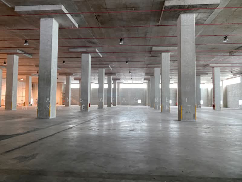 20 Gul Way, Boon Lay / Jurong / Tuas, 39,257 sqft, Warehouse For Rent, by AIMS APAC REIT Management Limited, 500230297 - Interior - CommercialGuru.com.sg