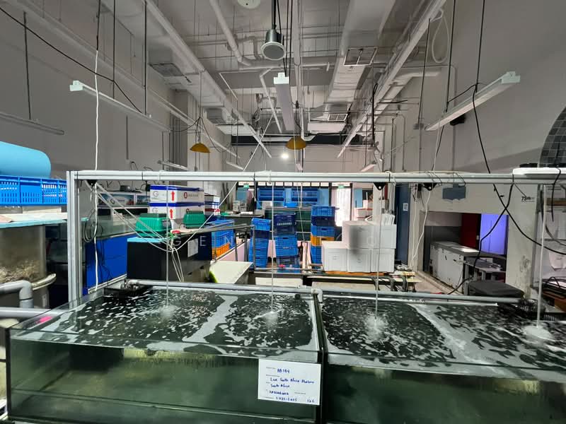 JTC Space @ Tampines North, 10 Tampines North Drive 4, Pasir Ris / Tampines, 2,946 sqft, Food & Beverage For Rent, by Genie Teo, 500230308 - Interior - CommercialGuru.com.sg