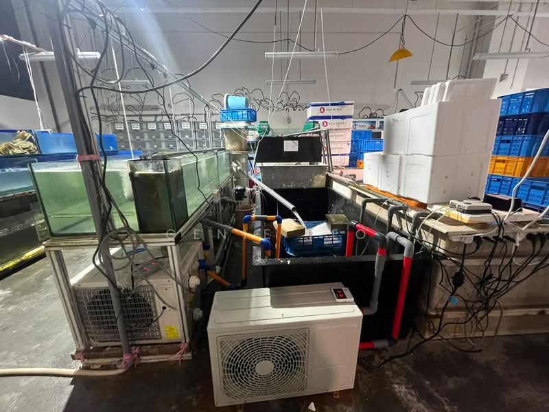 JTC Space @ Tampines North, 10 Tampines North Drive 4, Pasir Ris / Tampines, 2,946 sqft, Food & Beverage For Rent, by Genie Teo, 500230308 - Interior - CommercialGuru.com.sg