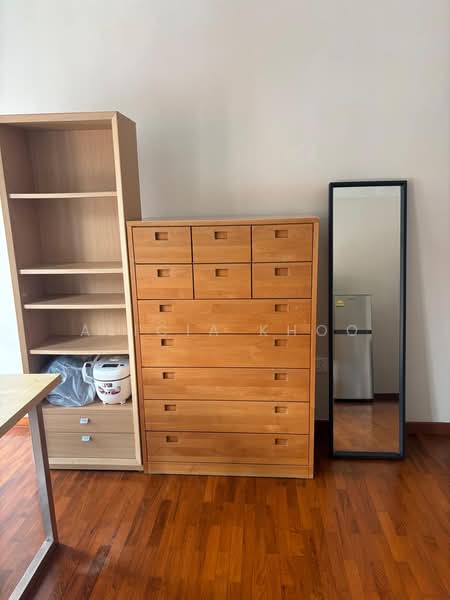 Marshall road, Marshall Road, Studio, 315 sqft, Shophouse For Rent, by Alicia Khoo, 500230462 - Interior - PropertyGuru.com.sg