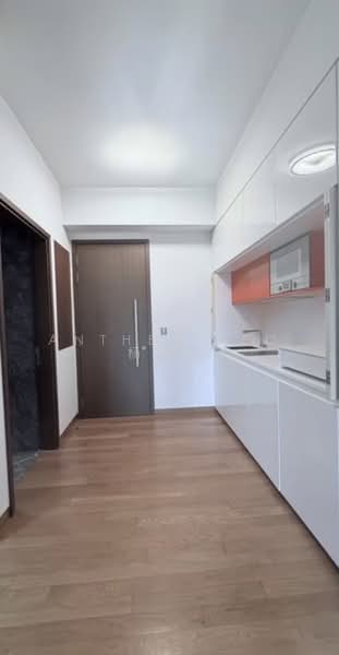 Espada, 48 Saint Thomas Walk, 1 Bedroom, 344 sqft, Condominium For Sale, by Anthea Yeo 杨丽娇, 500230485 - Kitchen - PropertyGuru.com.sg