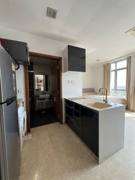 Prestige Heights, 348 Balestier Road, Studio, 344 sqft, Apartment For Rent, by Michelle Tan, 500230634 - Kitchen - PropertyGuru.com.sg