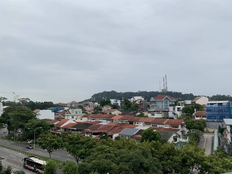 Terrene at Bukit Timah, 125 Jalan Jurong Kechil, 5 Bedrooms, 2,917 sqft, Condominium For Rent, by Ann Lee, 500230697 - Exterior - PropertyGuru.com.sg