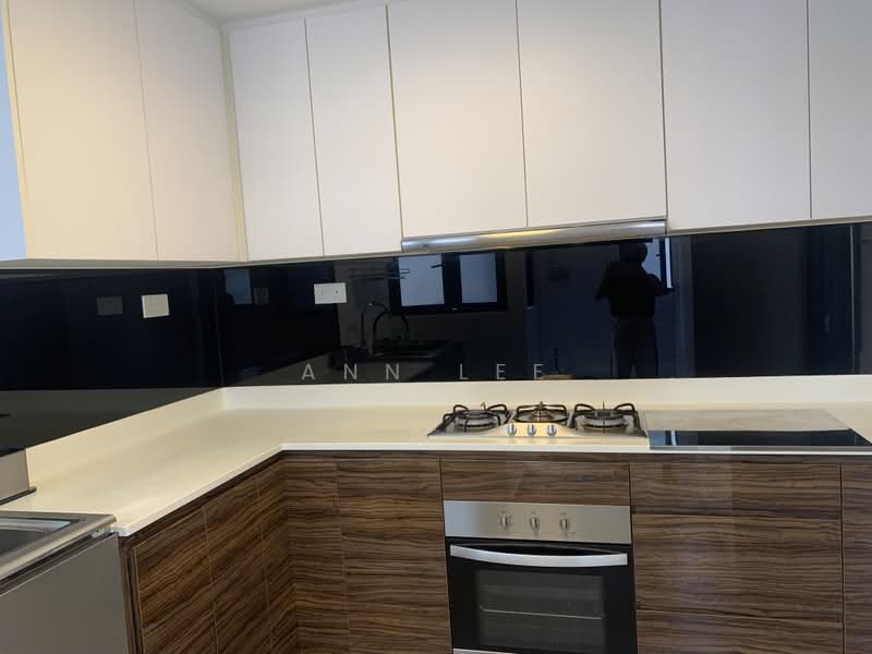 Terrene at Bukit Timah, 125 Jalan Jurong Kechil, 5 Bedrooms, 2,917 sqft, Condominium For Rent, by Ann Lee, 500230697 - Kitchen - PropertyGuru.com.sg