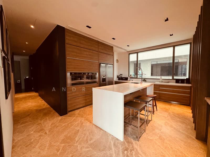 Leedon Residence, 24 Leedon Heights, 4 Bedrooms, 3,746 sqft, Condominium For Sale, by Andrew Phee, 500230980 - Kitchen - PropertyGuru.com.sg