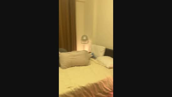Palm Lodge, 4 Geylang Lor 37, Room Rental, 160 sqft, Condominium For Rent, by Gino Pan, 500231030 - PropertyGuru.com.sg