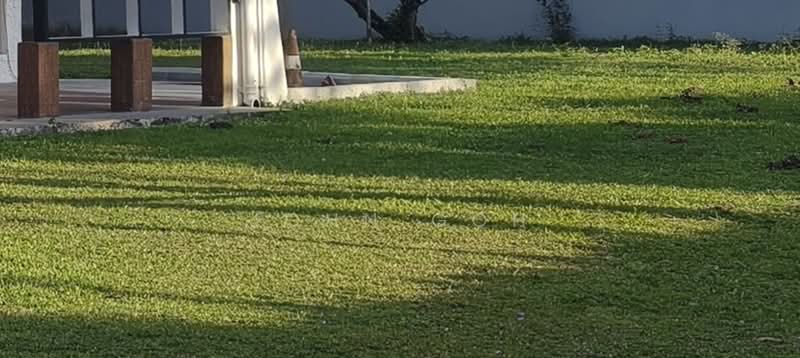 Chancery lane, , 3 Bedrooms, 3,000 sqft, Good Class Bungalow For Sale, by John Goh, 500231445 - Garden - PropertyGuru.com.sg