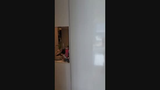 Oxley Residence, 51A Oxley Road, Orchard / River Valley, 4 Bedrooms, 2,573 sqft, Condominium For Sale, by John Wong, 500231572 - PropertyGuru.com.sg