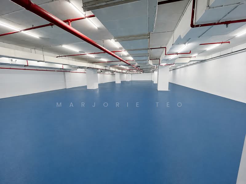 Basement’ unit 5950sf B2 Clean & Light for storage/office @ Changi South, Changi South Street, 5,950 sqft, Factory / Workshop (B2) For Rent, by Marjorie Teo, 500231818 - Interior - CommercialGuru.com.sg