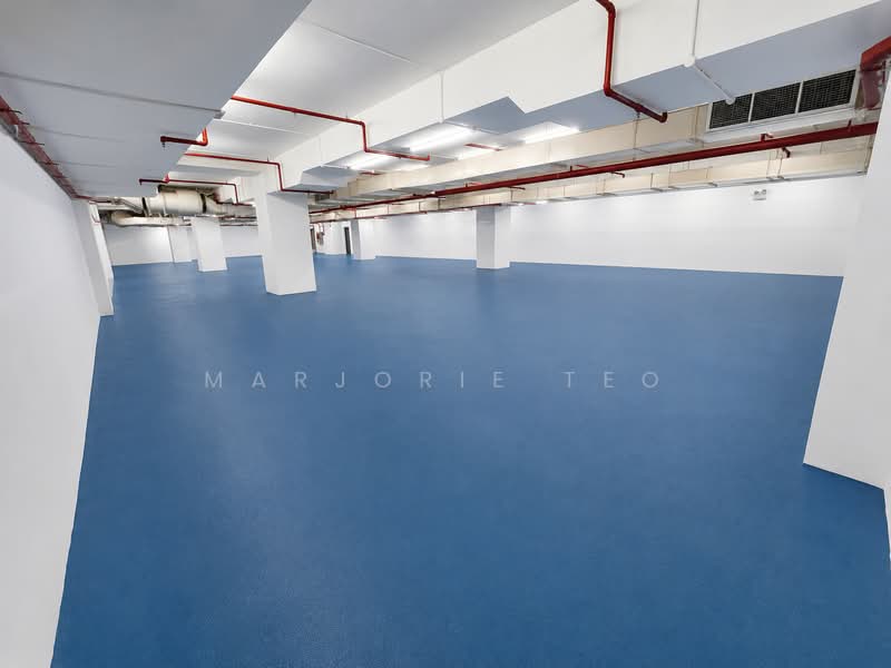 Basement’ unit 5950sf B2 Clean & Light for storage/office 450m walk from Xilin MRT (DTL), Changi South Street, 5,950 sqft, Factory / Workshop (B2) For Rent, by Marjorie Teo, 500231818 - Interior - CommercialGuru.com.sg