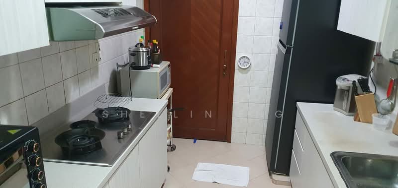 Trellis Towers, 700 Toa Payoh Lorong 1, Room Rental, 170 sqft, Condominium For Rent, by Shellin Eng, 500232031 - Kitchen - PropertyGuru.com.sg