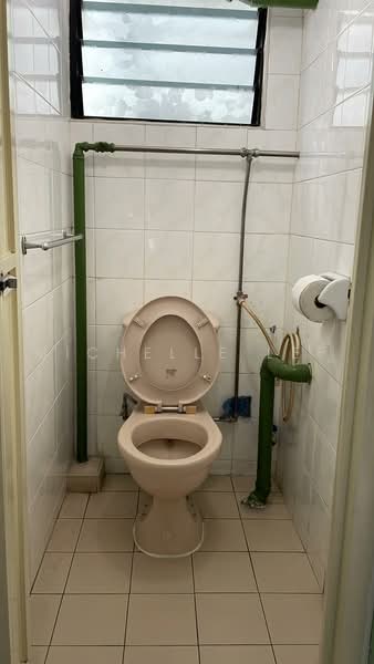 159 Lorong 1 Toa Payoh, 159 Lorong 1 Toa Payoh, Balestier / Toa Payoh, Room Rental, 180 sqft, HDB Flat For Rent, by Michelle Lee, 500232118 - Bathroom - PropertyGuru.com.sg