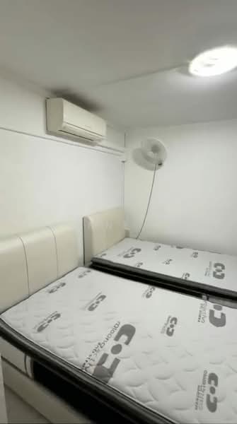 577 Ang Mo Kio Avenue 10, 577 Ang Mo Kio Avenue 10, Room Rental, 65 sqft, HDB Flat For Rent, by Joanne Peh, 500232399 - Bedroom - PropertyGuru.com.sg