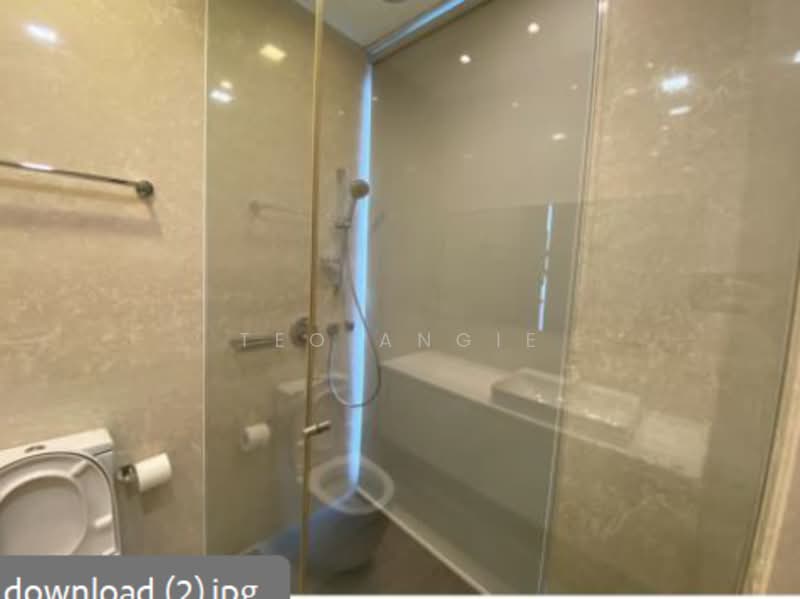 Alba, 8 Cairnhill Rise, 4 Bedrooms, 2,303 sqft, Condominium For Rent, by Teo Angie, 500232450 - Bathroom - PropertyGuru.com.sg