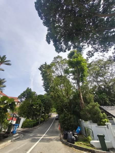 Ford Avenue, Ford Avenue, 5 Bedrooms, 15,984 sqft, Good Class Bungalow For Rent, by Desy Tan, 500232852 - Exterior - PropertyGuru.com.sg