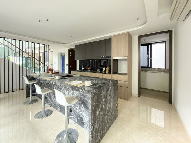 _EMINENCE_ Brand New FH Detached near Serangoon MRT, Sommerville Road, 7 Bedrooms, 11,060 sqft, Detached House For Sale, by Gavan Lee, 500232864 - Kitchen - PropertyGuru.com.sg