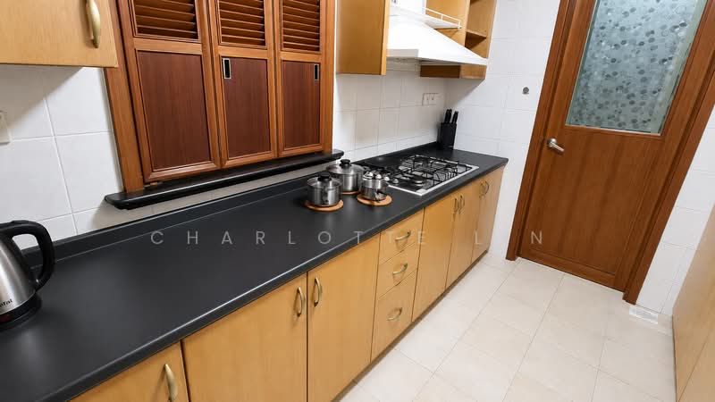 Tanglin View, 150 Prince Charles Crescent, Room Rental, 120 sqft, Condominium For Rent, by Charlotte Lin, 500232900 - Kitchen - PropertyGuru.com.sg