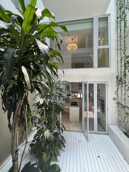 Beautiful Rare Conservation House along Cairnhill Road, Cairnhill, Emerald, Orchard, Orchard / River Valley, 4 Bedrooms, 6,500 sqft, Conservation House For Rent, by Jackie Tan 陳筱薇, 500233024 - Landscaped Outdoor Courtyard - PropertyGuru.com.sg