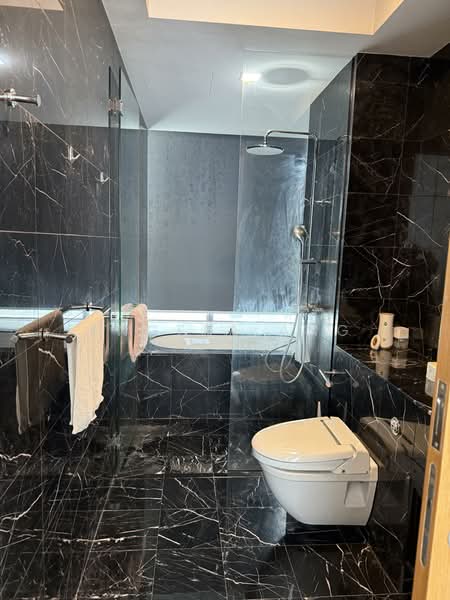 Helios Residences, 17 Cairnhill Circle, 2 Bedrooms, 1,281 sqft, Condominium For Rent, by Angela Ang, 500233083 - Bathroom - PropertyGuru.com.sg