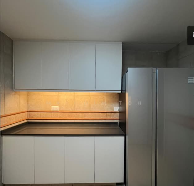 Cavenagh Lodge, 81 Cavenagh Road, 4 Bedrooms, 1,648 sqft, Apartment For Rent, by Malcolm Toh, 500233224 - Kitchen - PropertyGuru.com.sg