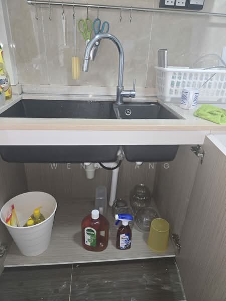 Skysuites @ Anson, 8 Enggor Street, 1 Bedroom, 398 sqft, Condominium For Rent, by Wendy Ang, 500233259 - Kitchen - PropertyGuru.com.sg