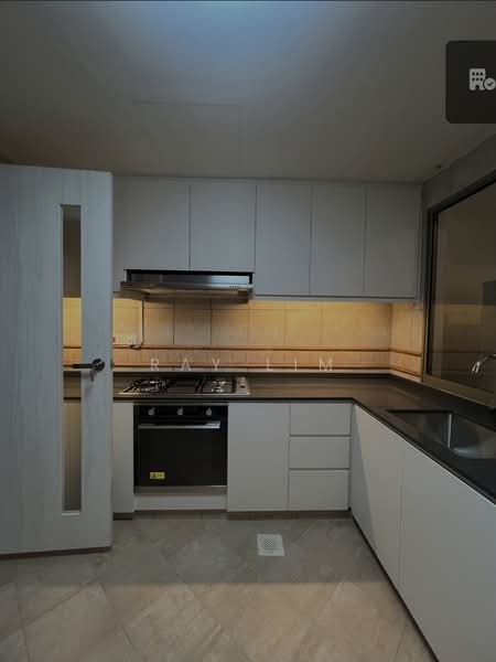 Cavenagh Lodge, 81 Cavenagh Road, 4 Bedrooms, 1,648 sqft, Apartment For Rent, by Ray Lim, 500233351 - Kitchen - PropertyGuru.com.sg