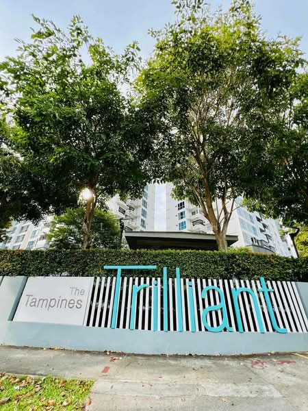 The Tampines Trilliant, 25 Tampines Central 7, 3 Bedrooms, 872 sqft, Condominium For Rent, by Alex Goh, 500233592 - Exterior - PropertyGuru.com.sg