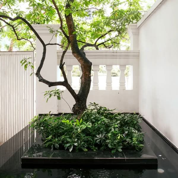 Orchard Conservation with 3 Car porch, private lift and pool, , 4 Bedrooms, 6,700 sqft, Conservation House For Sale, by Jackie Tan 陳筱薇, 500233624 - Garden - PropertyGuru.com.sg
