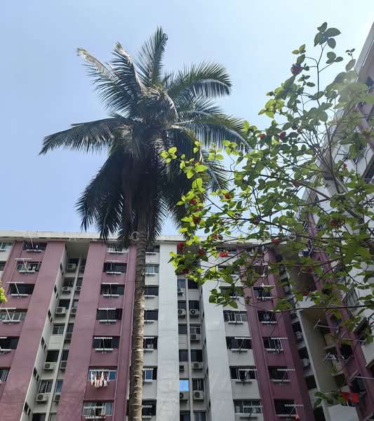 610 Ang Mo Kio Avenue 4, 610 Ang Mo Kio Avenue 4, 3 Bedrooms, 1,022 sqft, HDB Flat For Sale, by Alicia Fong, 500233722 - Exterior - PropertyGuru.com.sg