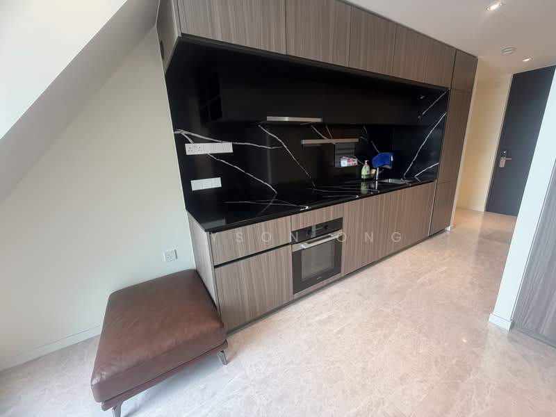 Irwell Hill Residences, 2 Irwell Hill, Orchard / River Valley, 2 Bedrooms, 646 sqft, Condominium For Sale, by Allyson Ong, 500234089 - Kitchen - PropertyGuru.com.sg