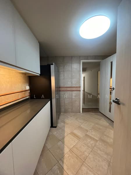 Cavenagh Lodge, 81 Cavenagh Road, 4 Bedrooms, 1,648 sqft, Apartment For Rent, by Ella Sherman, 500234249 - Kitchen - PropertyGuru.com.sg