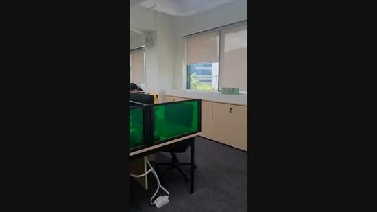 450 Alexandra Road, , 2,412 sqft, Office For Rent, by Andy Ea, 500234426 - CommercialGuru.com.sg