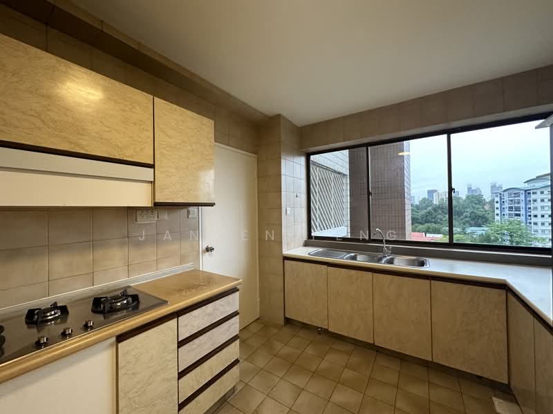 The Cairnhill, 4 Cairnhill Rise, 4 Bedrooms, 2,800 sqft, Condominium For Rent, by Jansen Feng, 500234442 - Kitchen - PropertyGuru.com.sg