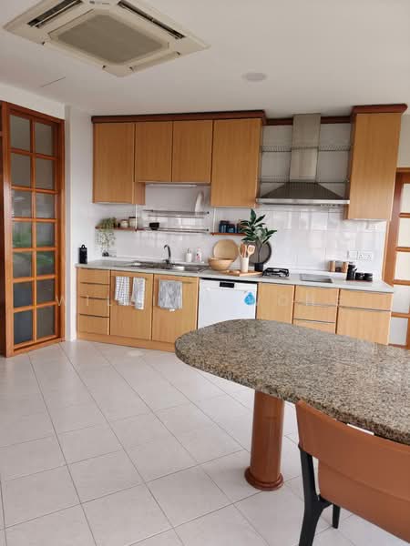 The Draycott, 50 Draycott Park, Tanglin / Holland / Bukit Timah, 4 Bedrooms, 2,637 sqft, Condominium For Sale, by William Wong, 500234686 - Kitchen - PropertyGuru.com.sg