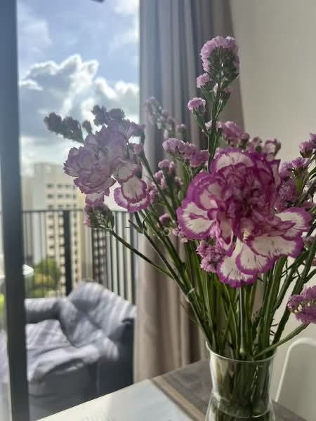 Le Quest, 10 Bukit Batok Street 41, 2 Bedrooms, 732 sqft, Condominium For Rent, by Zeno ., 500234697 - Balcony - PropertyGuru.com.sg