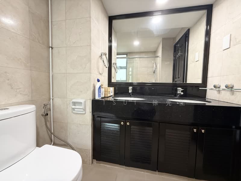 Cheap Studio Unit near Somerset & Fort Canning MRT, River Valley Road, Studio, 260 sqft, Condominium For Rent, by Alan Tsui 徐先生, 500234753 - Bathroom - PropertyGuru.com.sg