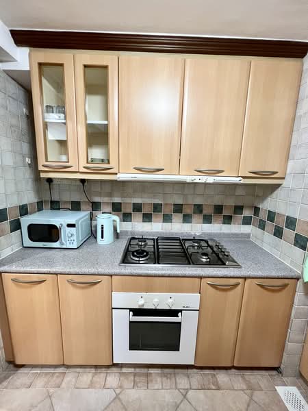 Emerald Garden, 33 Club Street, Room Rental, 120 sqft, Condominium For Rent, by Steve Voon, 500234760 - Kitchen - PropertyGuru.com.sg