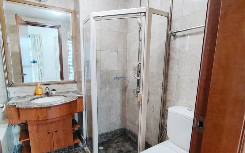 Tanglin View, 156 Prince Charles Crescent, Room Rental, 180 sqft, Condominium For Rent, by Nigel Eng, 500235119 - Bathroom - PropertyGuru.com.sg