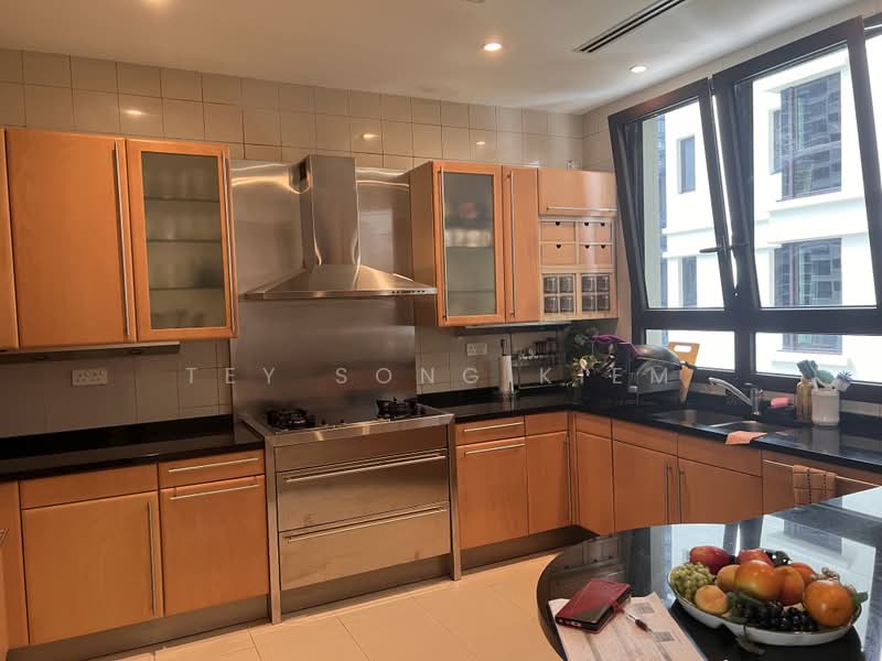Ardmore Park, 11 Ardmore Park, 4 Bedrooms, 2,885 sqft, Condominium For Rent, by Tey Song Kiem, 500235155 - Kitchen - PropertyGuru.com.sg